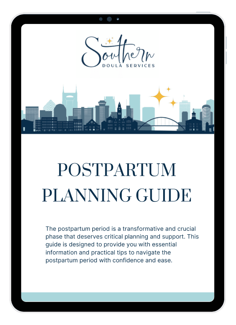 Southern Doula Services Postpartum Planning Guide